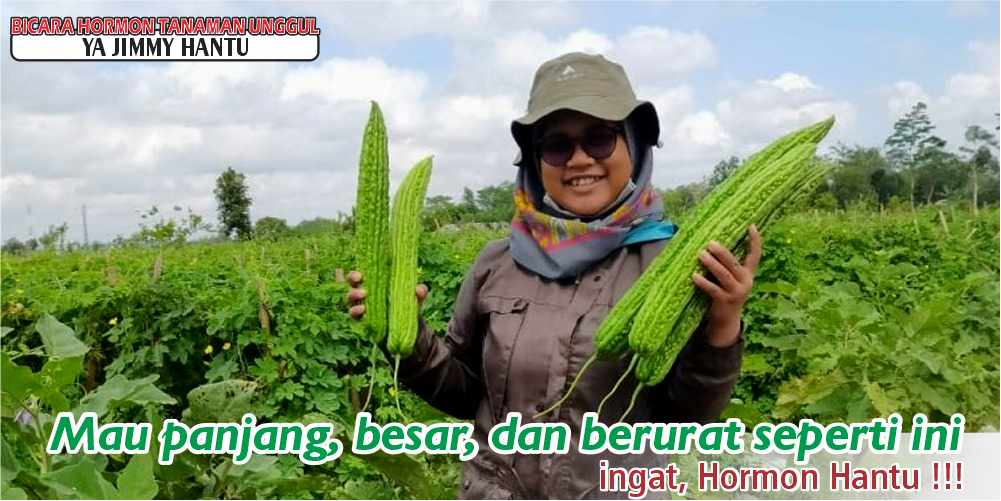 testi 3