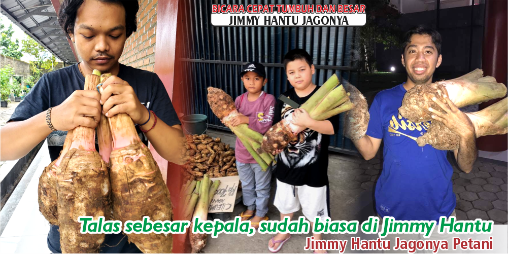 testi 6