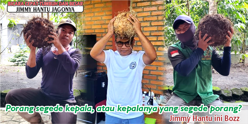 testi 7