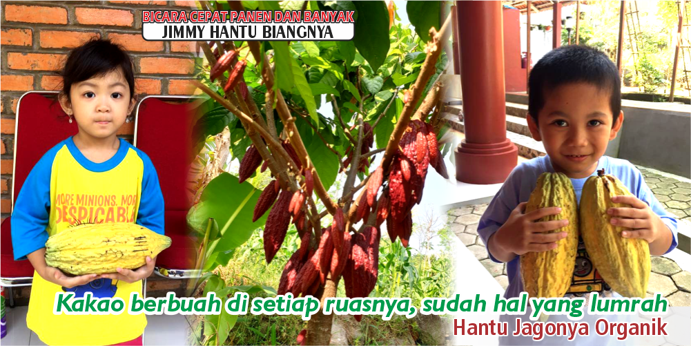 testi 8